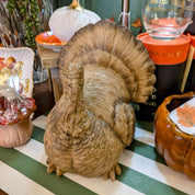 Sitting Turkey