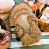 Sitting Turkey