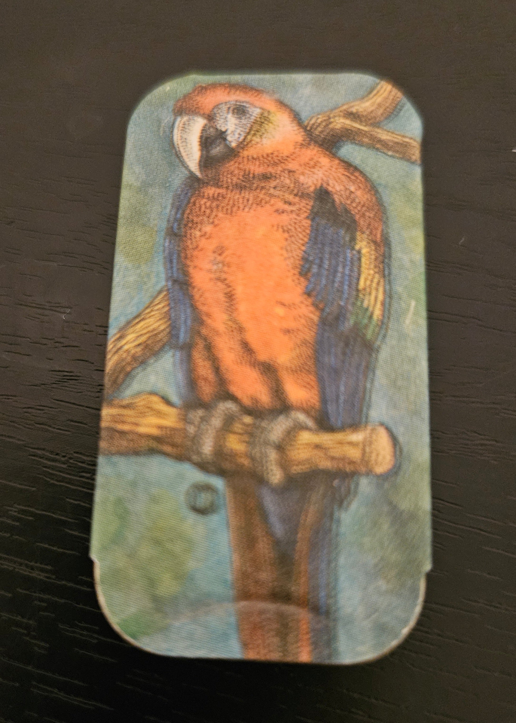 Vintage Parrot Metal Pill Box
