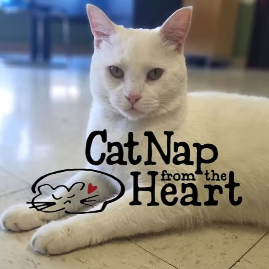 369_-_Cat_Nap_from_the_Heart_Logo.avif