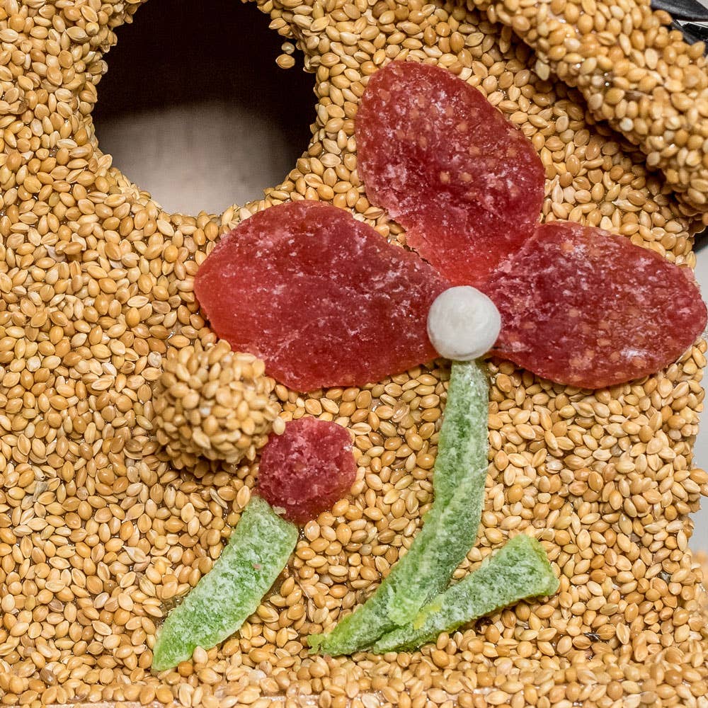 Spring Fruit Cottages – Decorative Bird Seed Houses (Assorted Styles)