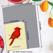 Northern Cardinal Sympathy Greeting Card