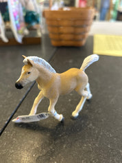 Haflinger Foal