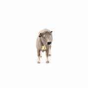 Braunvieh Cow Farm Animal Toy