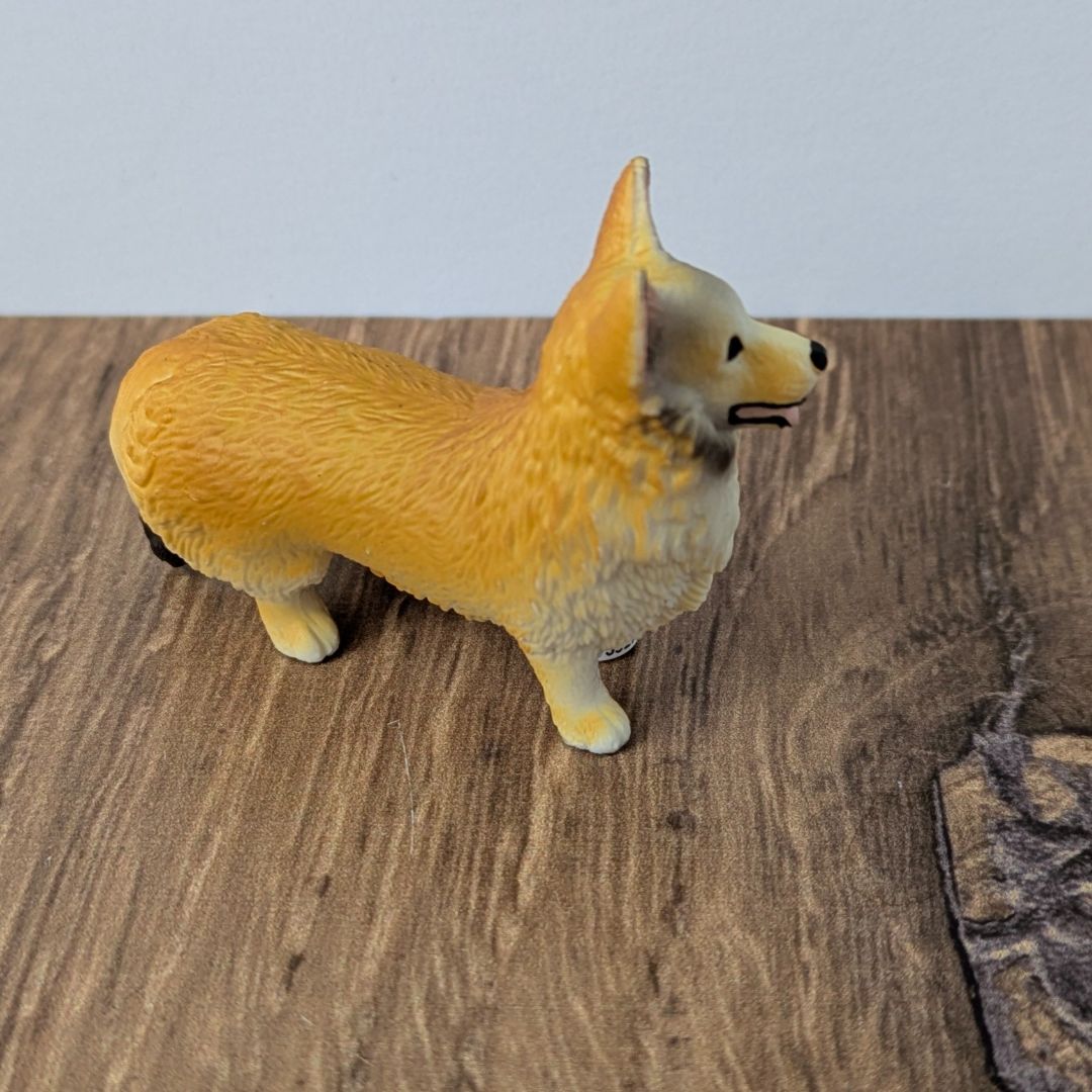 Welsh Corgi - New for 2025 | Schleich