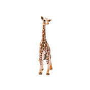 Giraffe Calf Safari Animal Toy