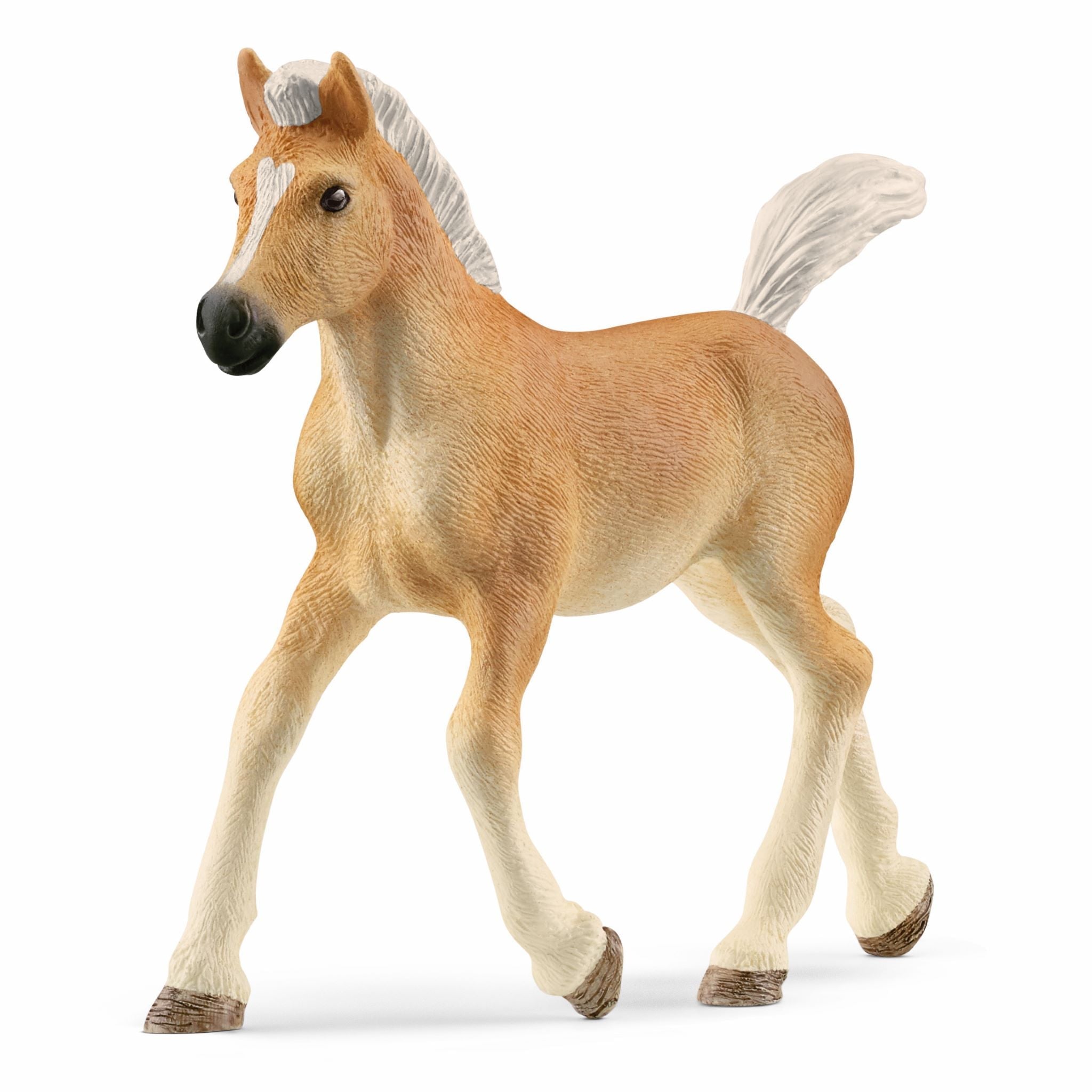 Haflinger_Foal_Schleich_JSQ_Mercantile_13951.jpg