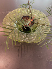 Recycled Art Glass Bowl, Made in Spain