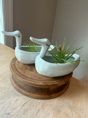 Vintage and Modern Duck Planter, pair with air plants