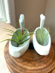 Vintage and Modern Duck Planter, pair with air plants