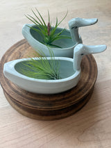 Vintage and Modern Duck Planter, pair with air plants