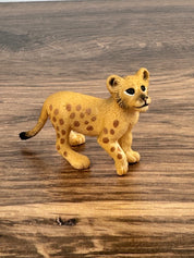 Lion cub