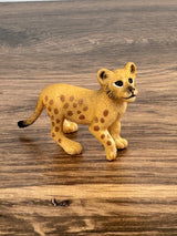 Lion cub
