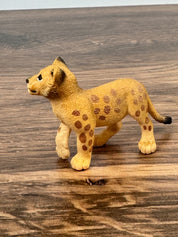 Lion cub