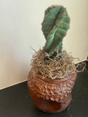 Brutalist studio pottery vase