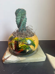 Round Mexican pot