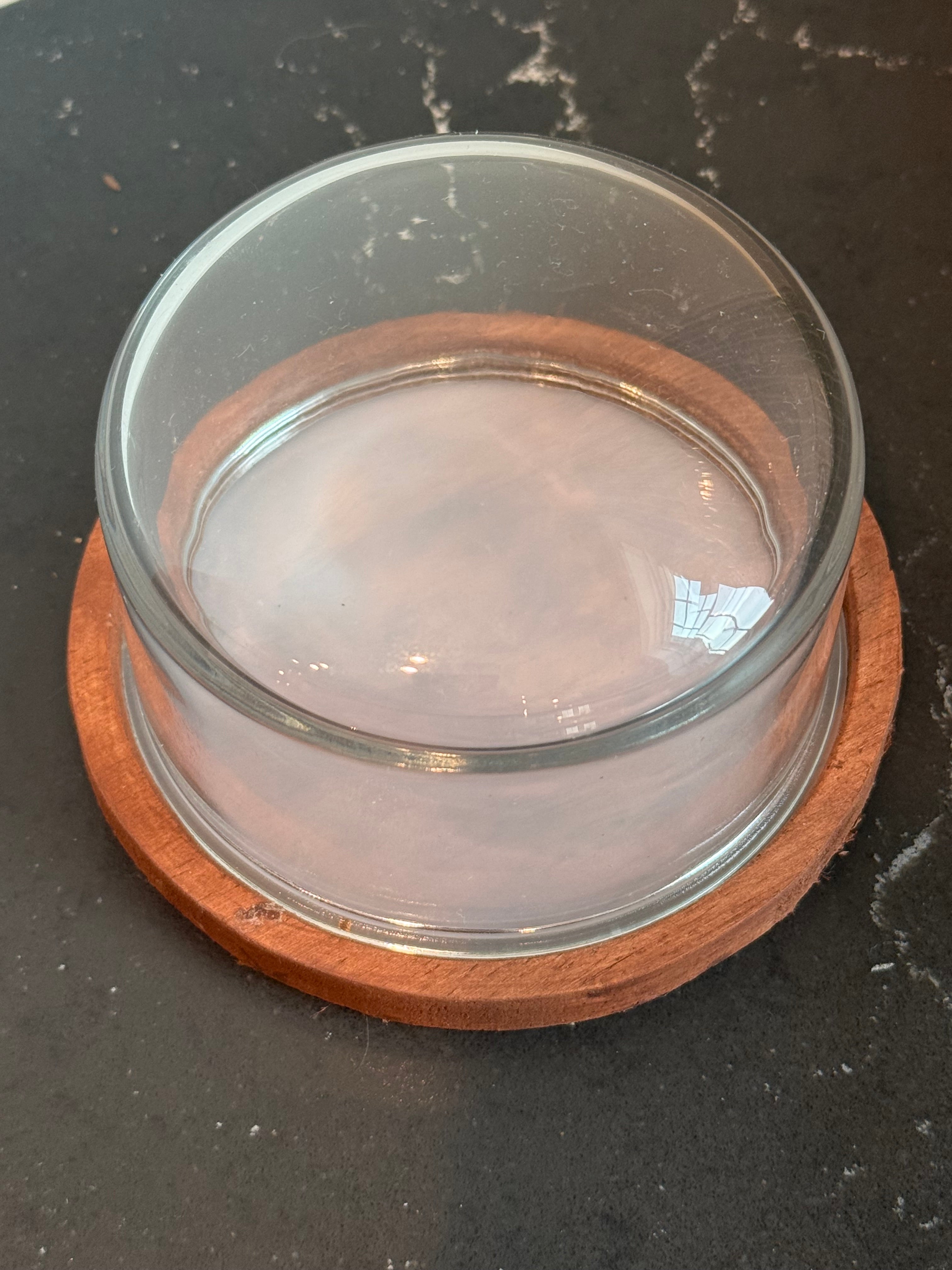 Domed Contemporary Wood & Glass Terrarium