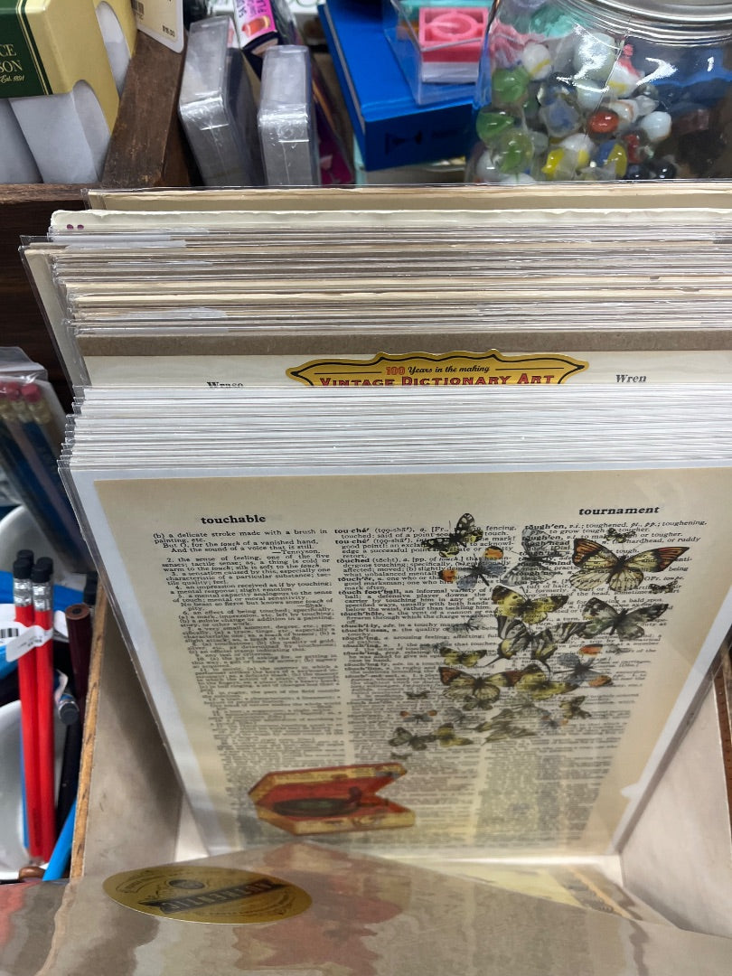 VTG Dictionary Pages with Art-New