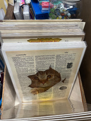 VTG Dictionary Pages with Art-New