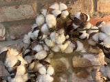 rustic cotton boll wreath