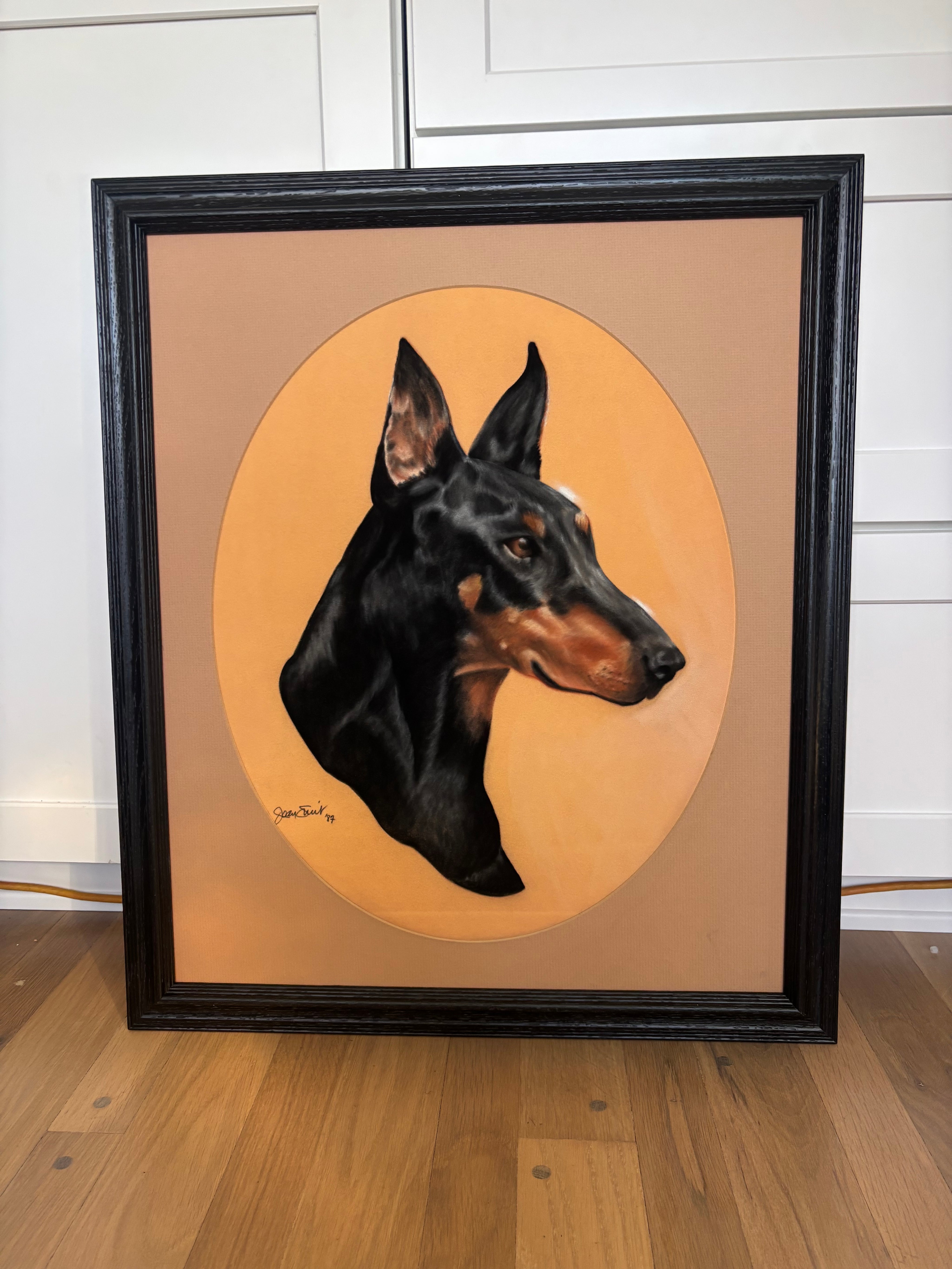 Doberman portrait