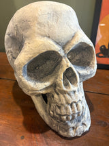 Large Skull