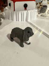 Lop-Eared Rabbit