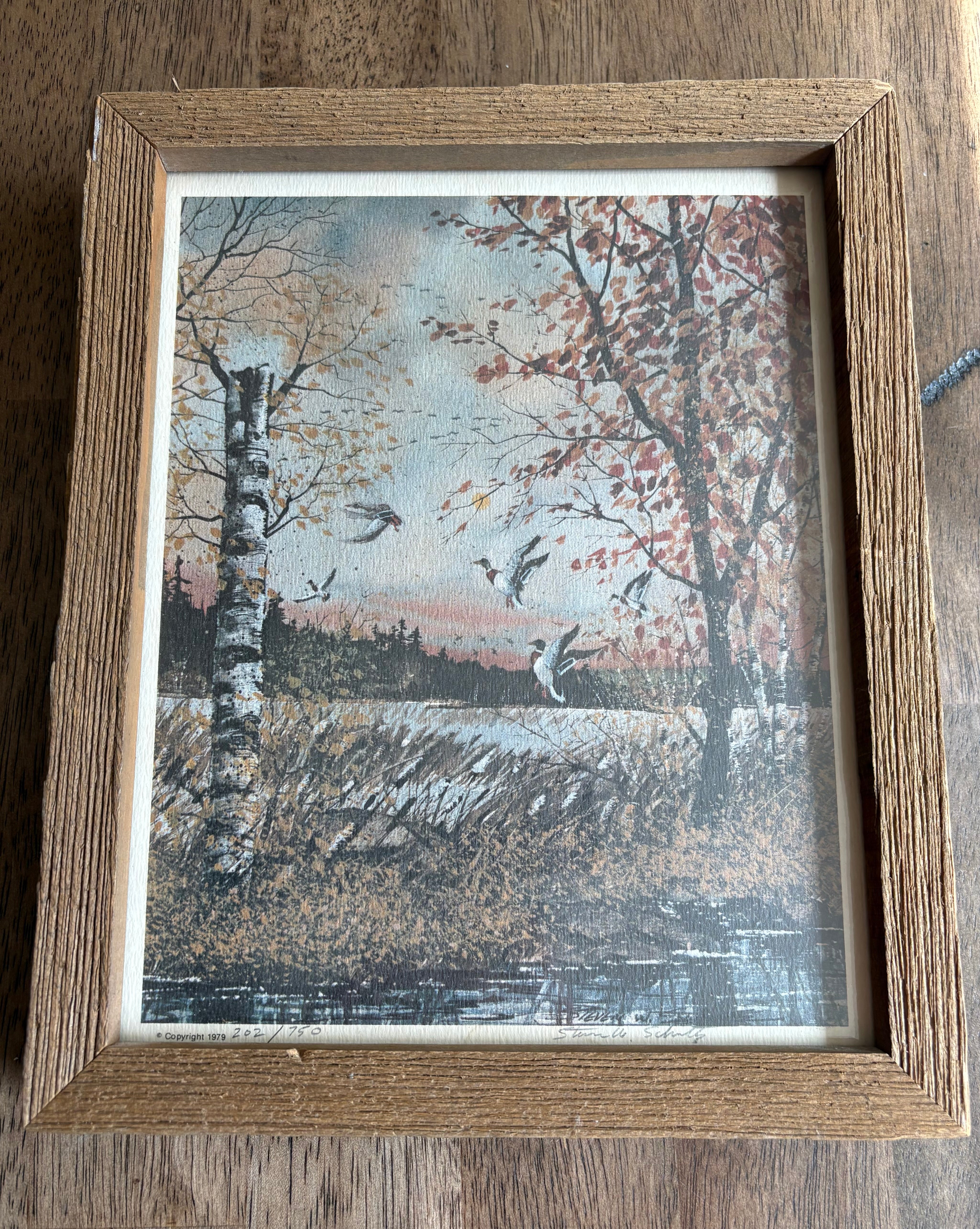 Steven W. Schultz Duck Print 1979 202/750