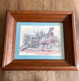 Vintage Pheasant Framed Print