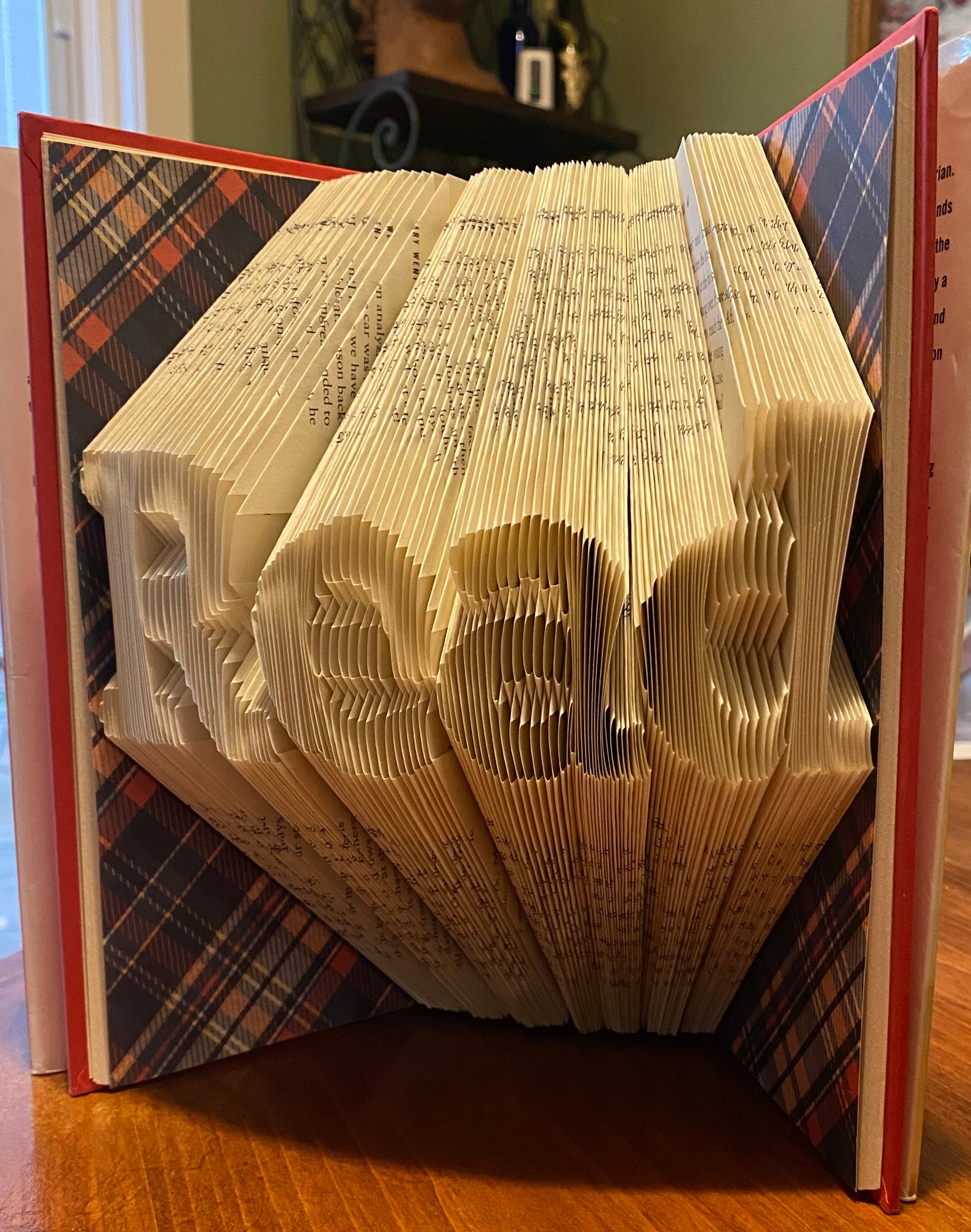 Folded Book - Read w/Plaid cover sheet