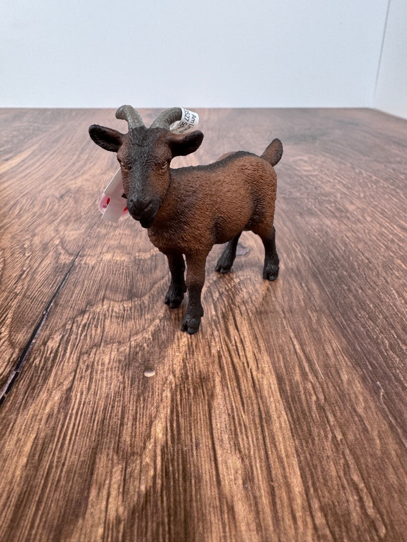 Goat Price is Firm