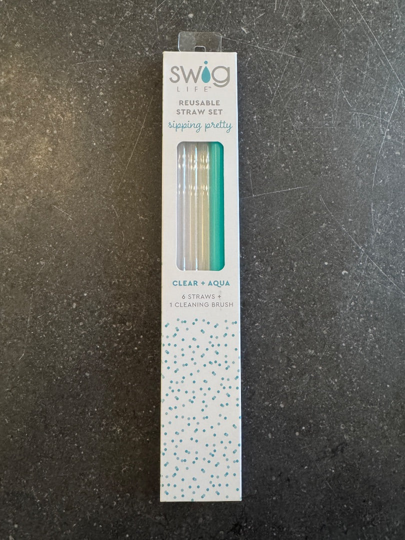 Clear + Aqua Reusable Straw Set