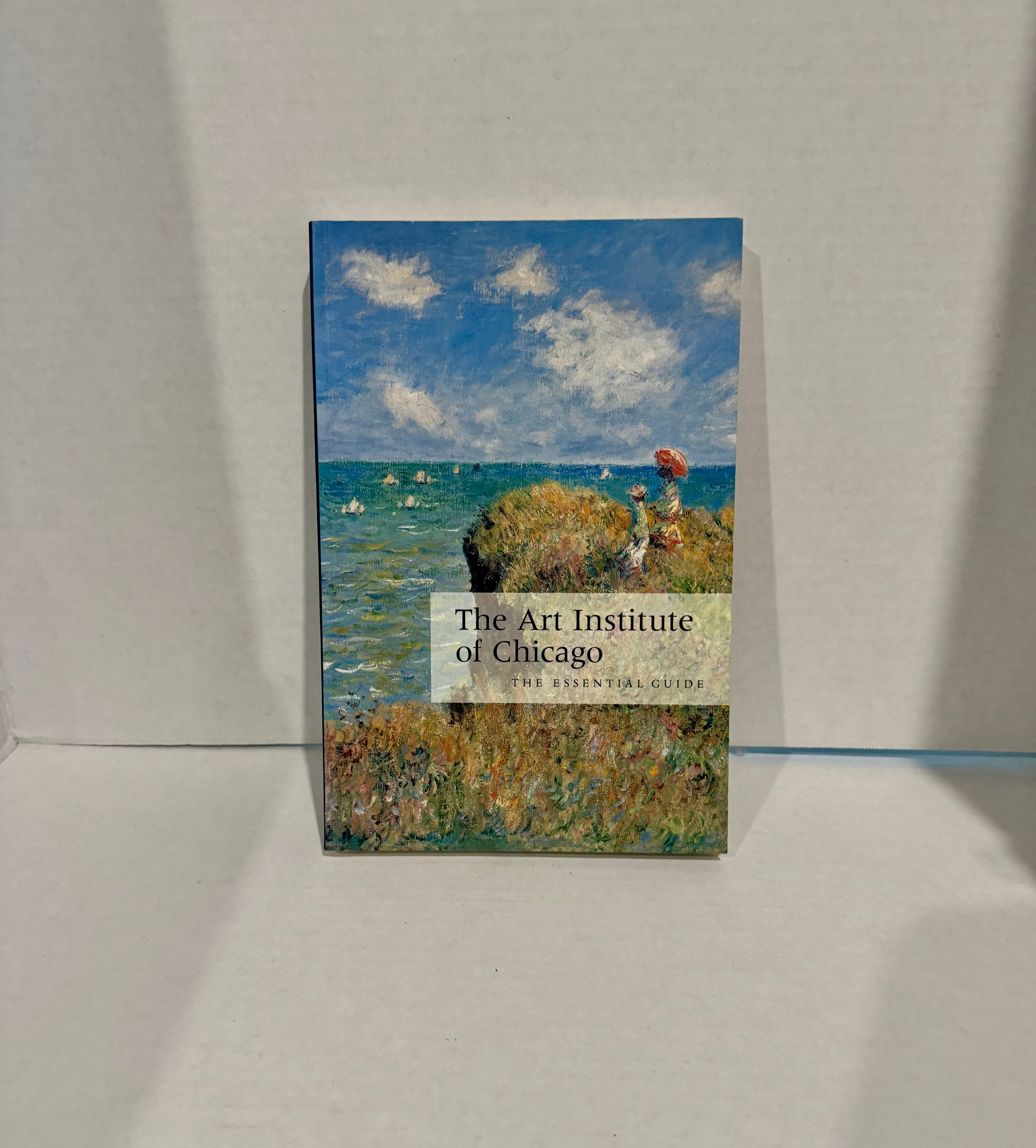 The Art Institute of Chicago Coffee Table Book
