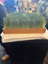 Wooden Basket of Grass