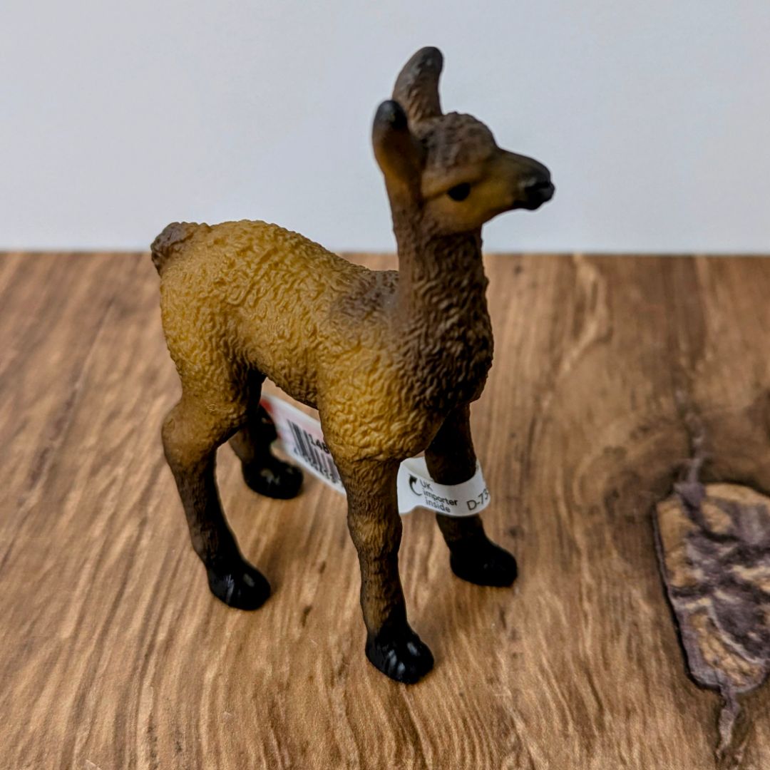 Llamaside_c5d3f67d-0141-46db-9085-665684f04606.jpg