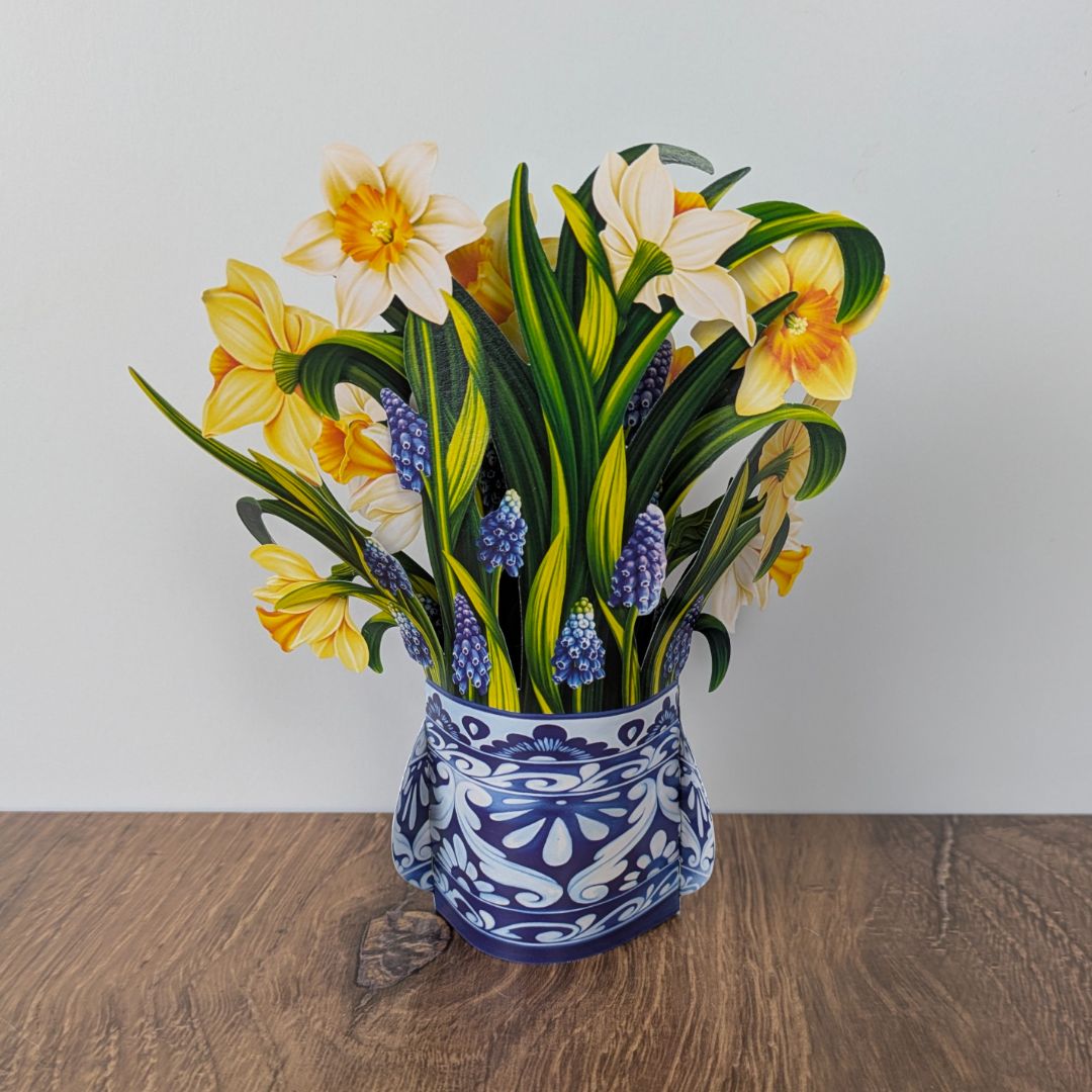 Mini English Daffodil Pop Up Greeting Card