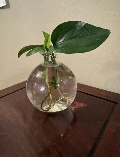 Round_20Prop_20Vase_2001.jpg