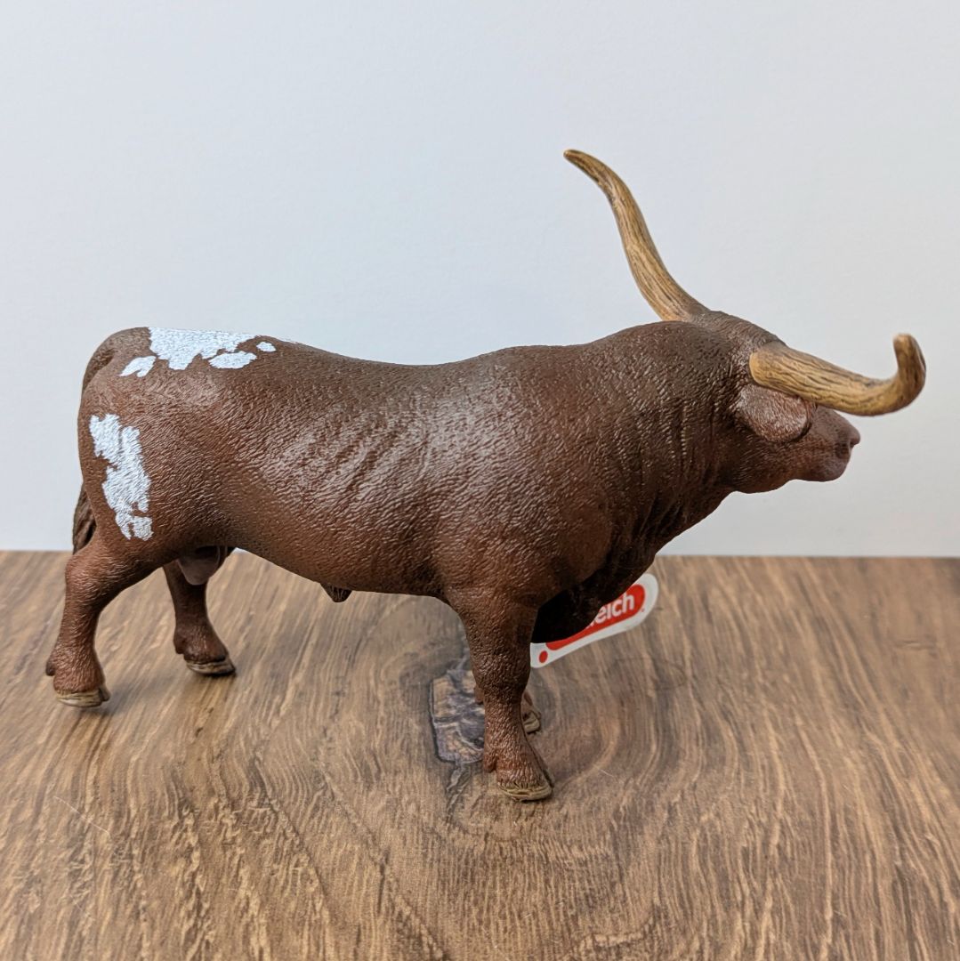 Texas Longhorn Bull