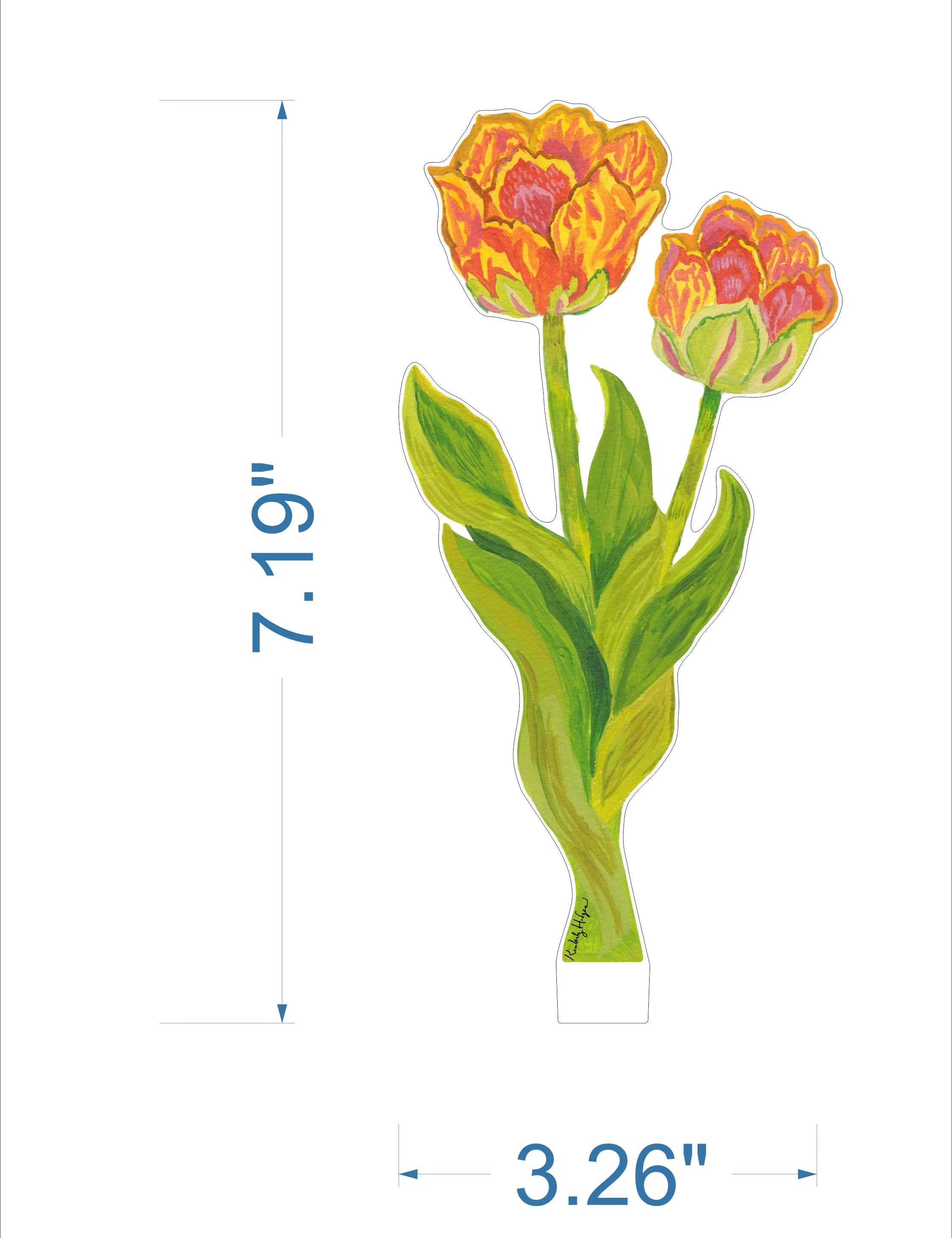 Tulips_SM_KHA-076.webp