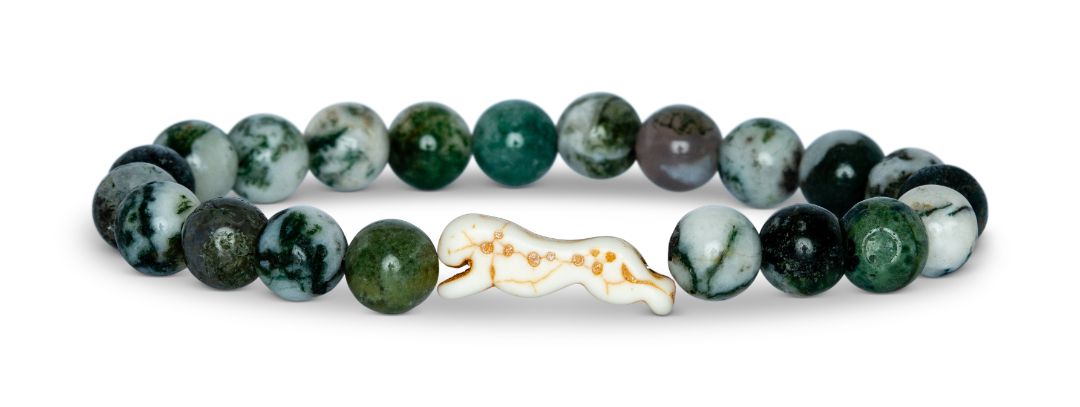W-SPR-ACACIA.jpg