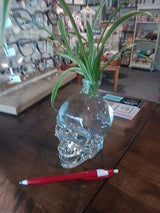 Skull Sprouts