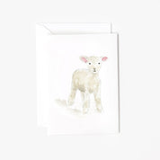 Baby Lamb Mini Enclosure Notecard by Emily Lex