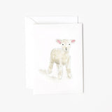 Baby Lamb Mini Enclosure Notecard by Emily Lex