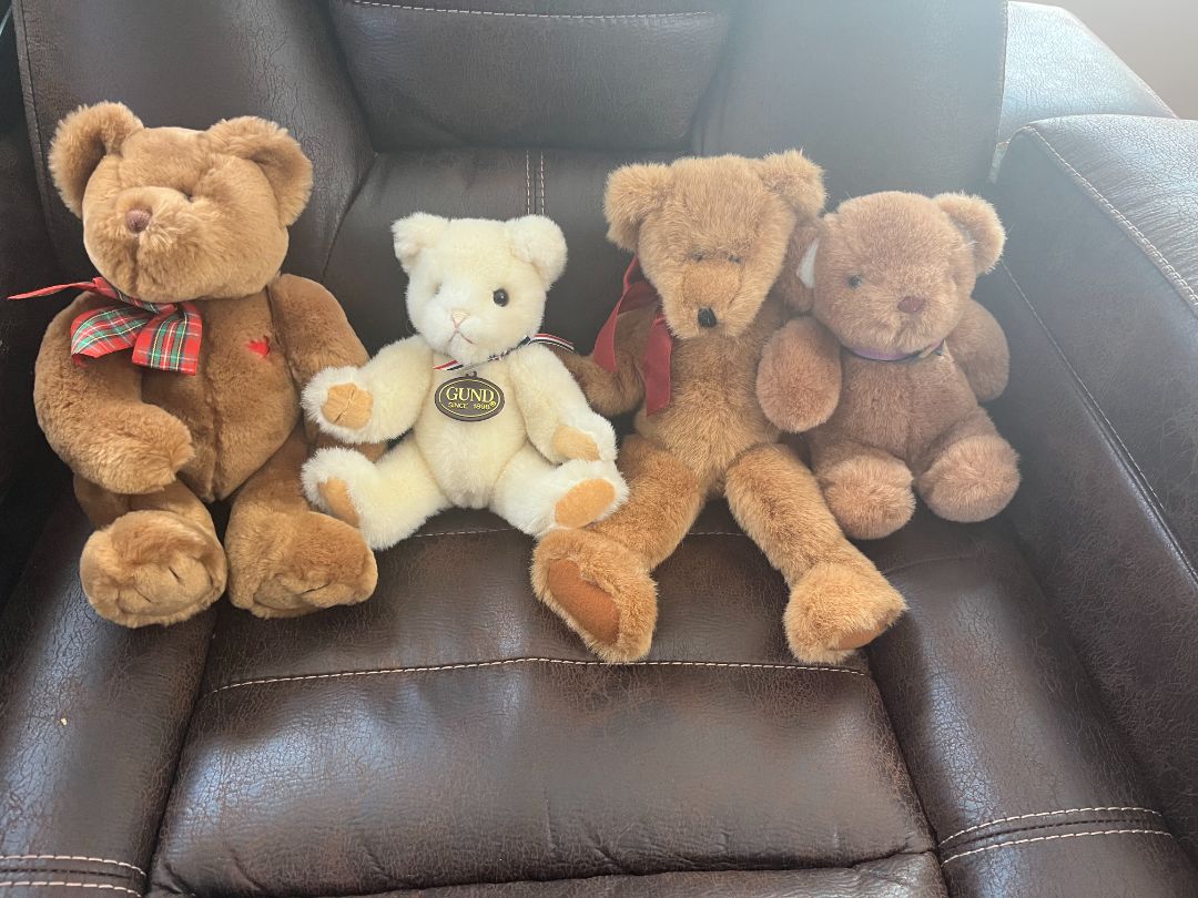 bears_20picture_20teddy_20b_27s.jpg