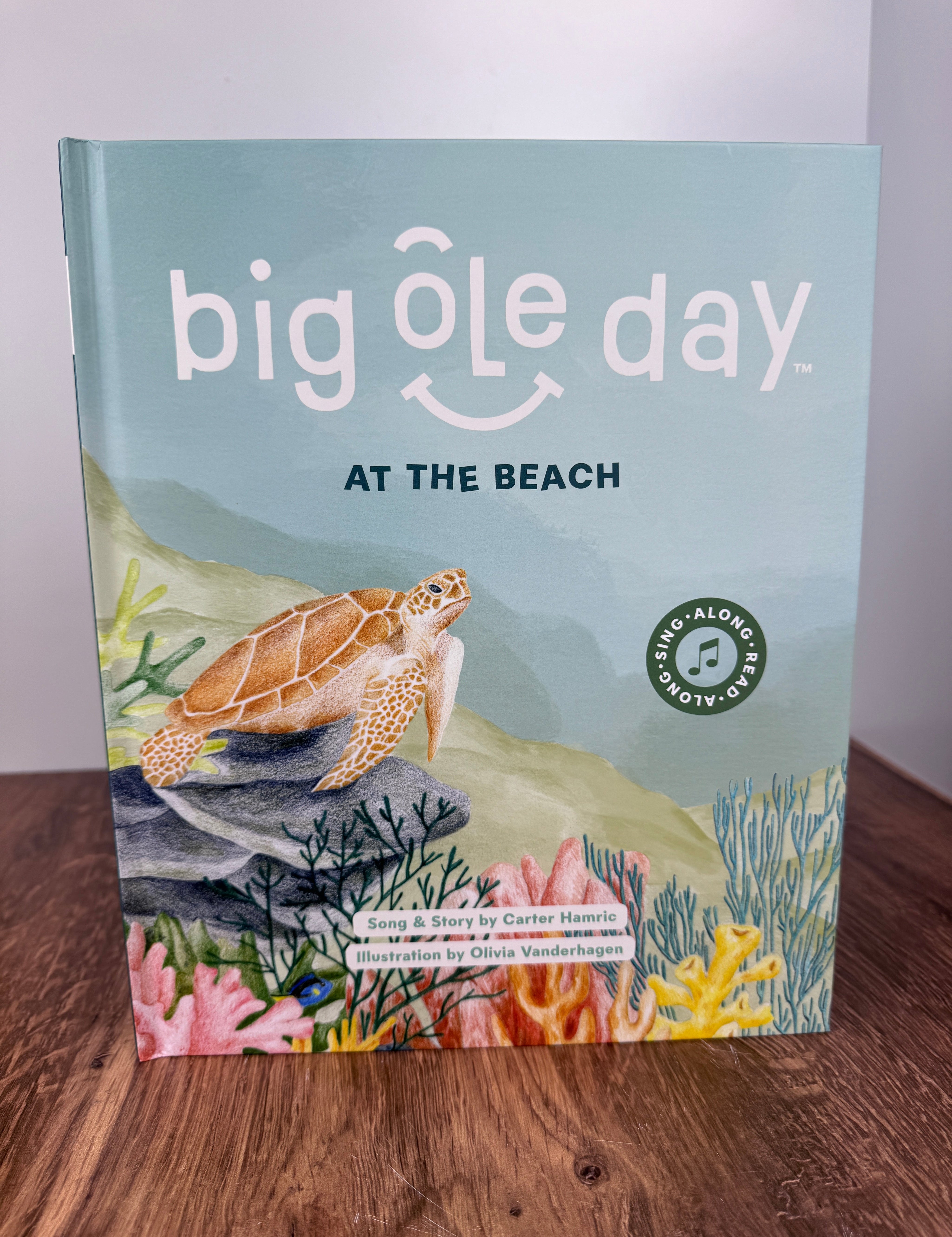 big-ole-day-at-the-beach-interactive-childrens-book-qr-code-jsq-mercantile-la-grange-il.jpg