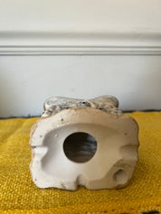Ceramic "Haunted Bones" Skull House