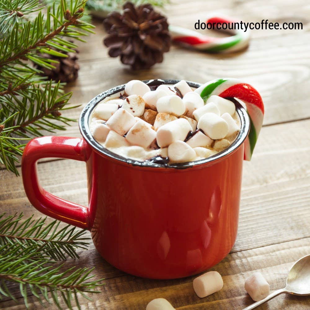 Door County Candy Cane Gourmet Hot Cocoa - One Mug Packet