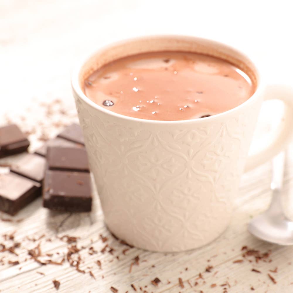Door County Double Fudge Gourmet Hot Cocoa - One Mug Packet