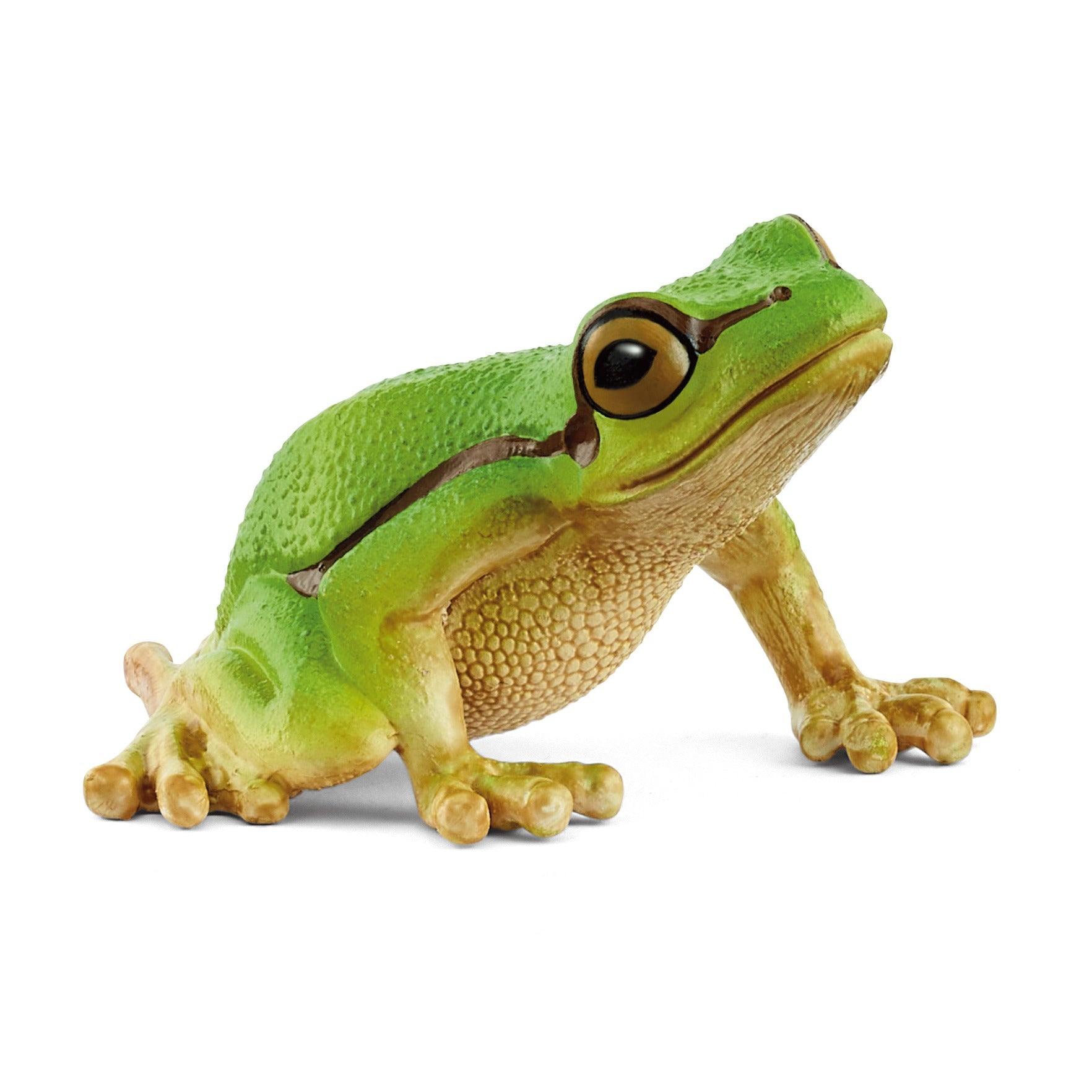 european-tree-frog-figurine-schleich-jsq-mercantile.jpg