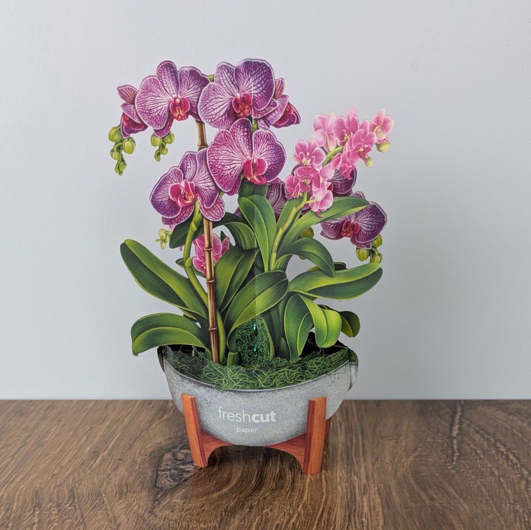 Mini Orchid Oasis Pop Up Greeting Card